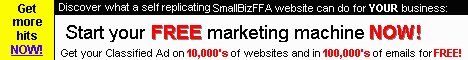 FREE SmallBizFFA website with your ad on top